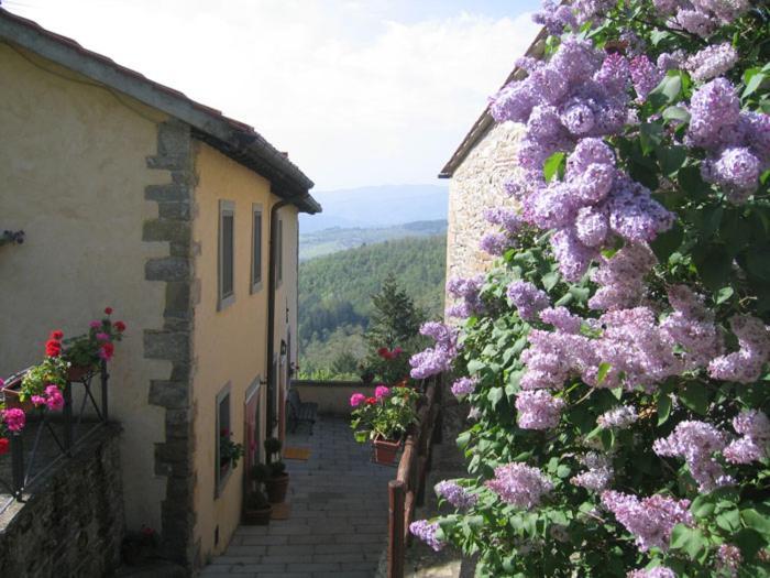 Hotel Borgo Tramonte Pratovecchio Stia Esterno foto