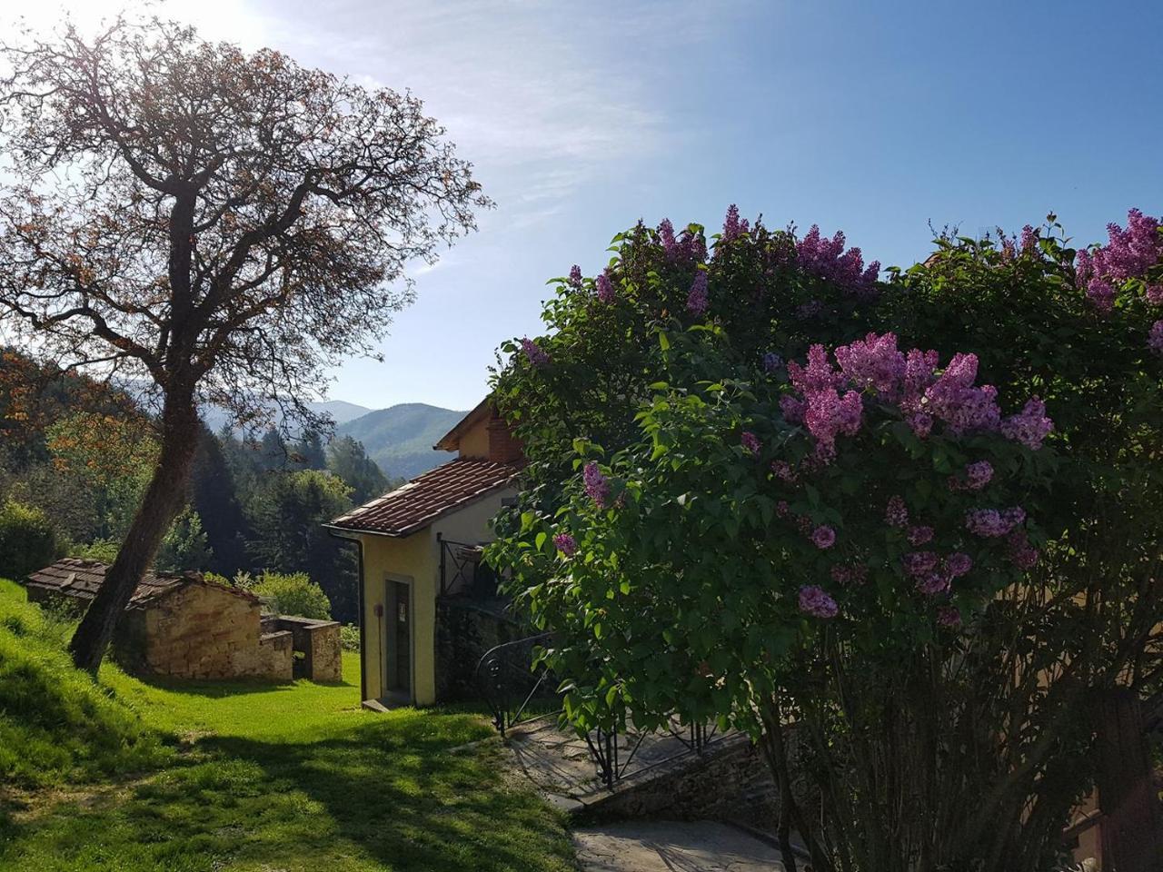 Hotel Borgo Tramonte Pratovecchio Stia Esterno foto